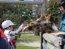 写真：まんまタイム