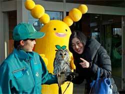 写真：フクロウと一緒