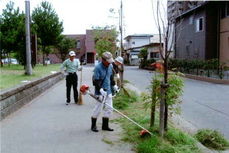 写真：機械での草刈りの様子