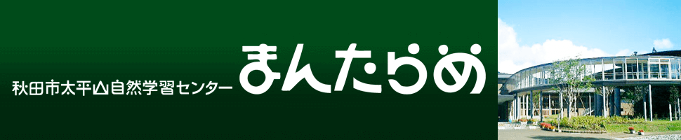 大平山自然学習センターまんたらめ   