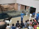 男鹿水族館