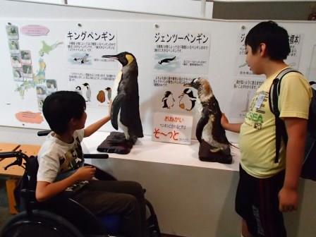 写真　男鹿水族館