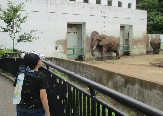 動物園