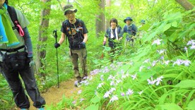 写真：登山の様子