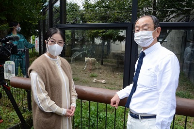 写真：ホッキョクオオカミのどうぶつ解説