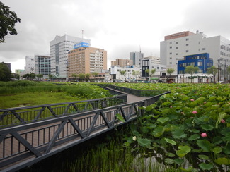 遊歩道