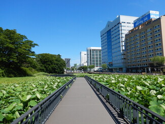 写真：遊歩道からの景観1