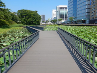 写真：遊歩道からの景観1