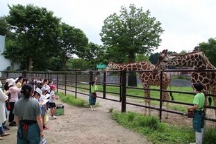 画像：動物園ツアー