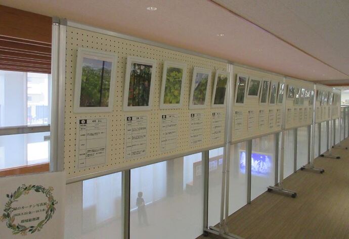 写真展の様子