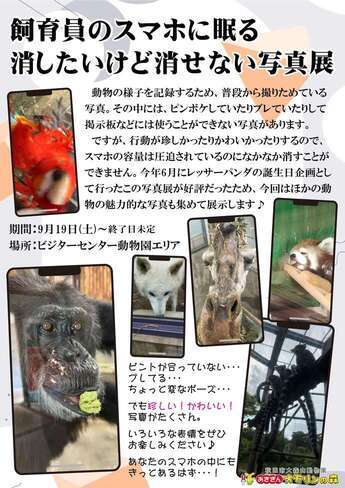 画像：写真展ポスター