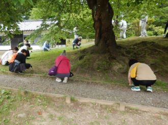 施肥作業体験中の写真