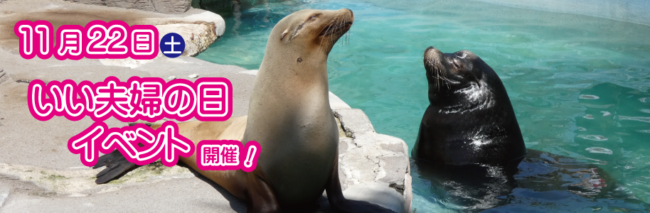 11月22日にいい夫婦の日イベントを開催