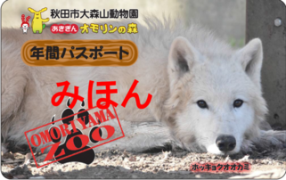 写真：年間パスポート