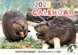画像：壁掛けカレンダー