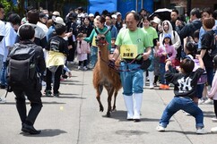 画像：動物パレード