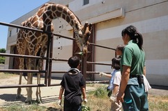 写真：サマースクールの様子