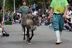 写真：パレード風景