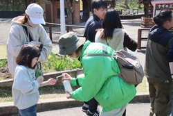 写真：イベントのお手伝い