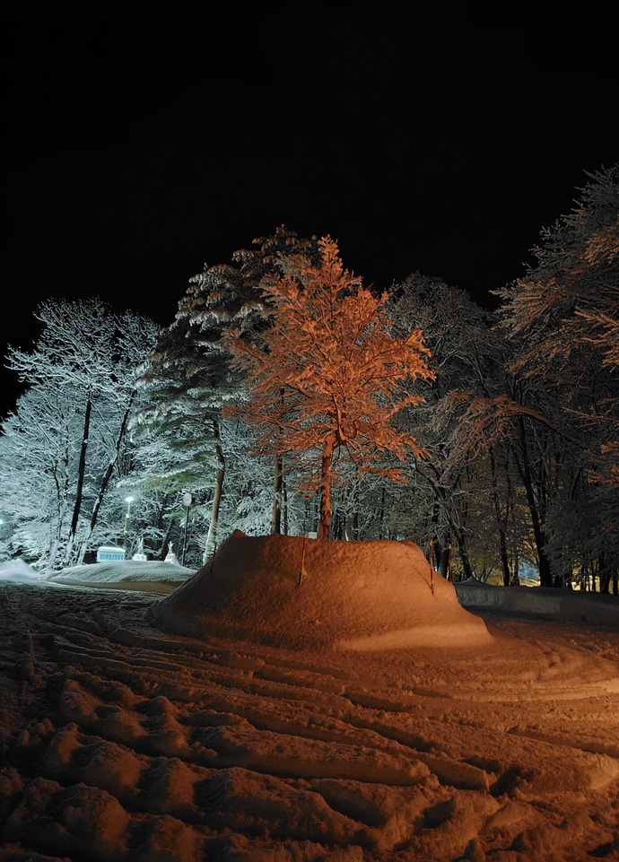 まんたらめの樹氷2