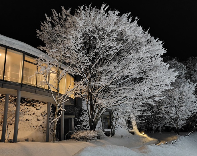 まんたらめの樹氷1