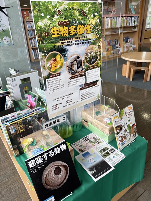企画展示2の写真