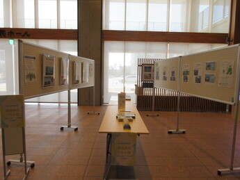 パネル展全体