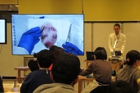 心臓の解剖の方法について説明