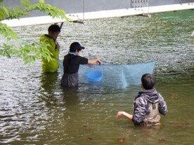 R8水生生物保全協会1春季
