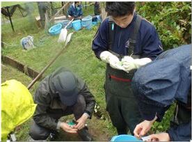 R8秋季モニタリング調査