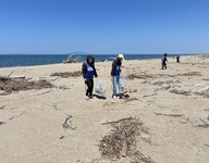 写真：桂浜海水浴場の清掃活動の様子