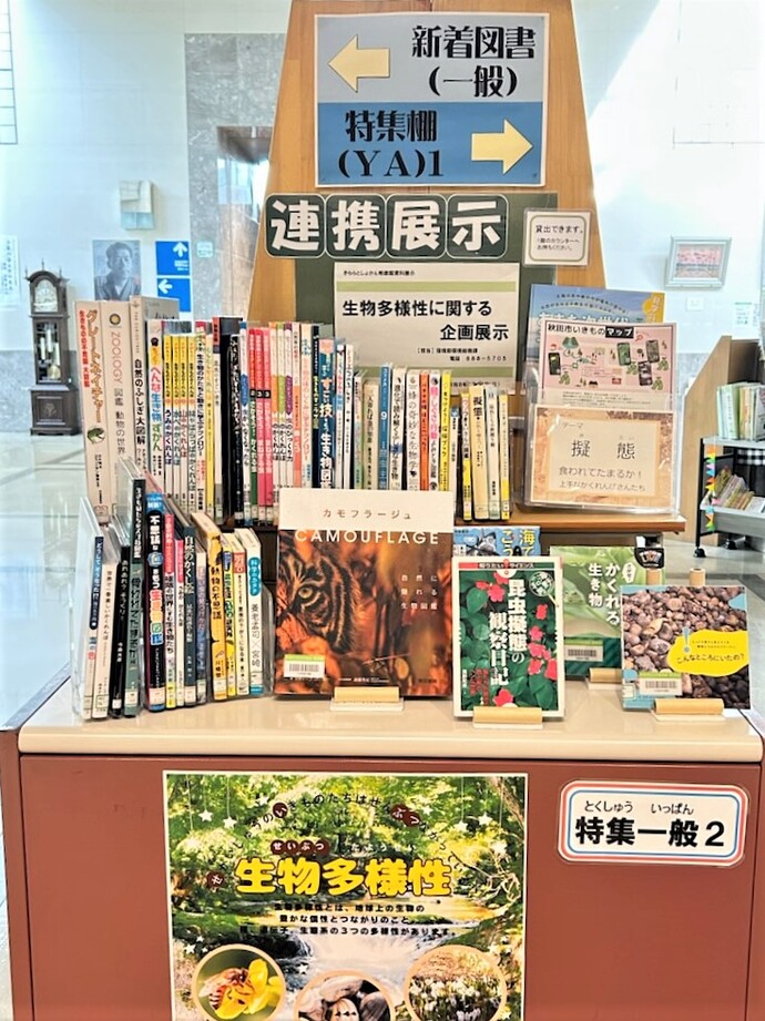 資料展示風景
