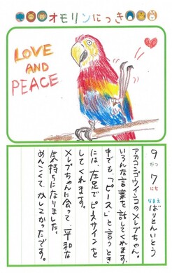 画像：9月のにっき（アカコンゴウインコ）