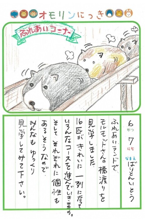 画像：6月のにっき（モルモット）