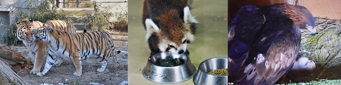 ほしい物写真