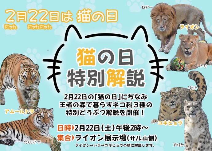 画像：猫の日解説ポスター