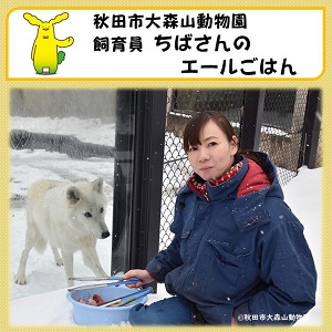 自己紹介の写真