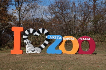 Ilovezoo