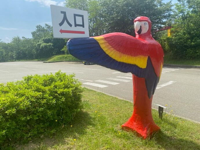 アカコンゴウインコの案内オブジェ