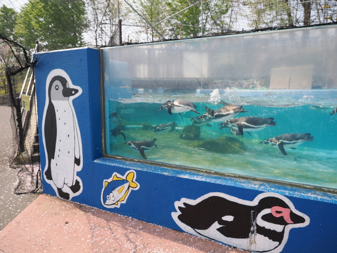 画像:ペンギン展示場