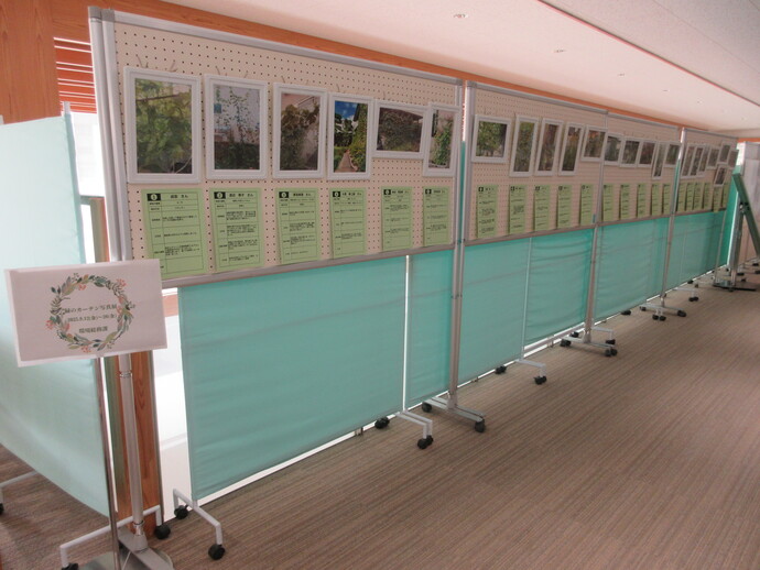 写真展の様子