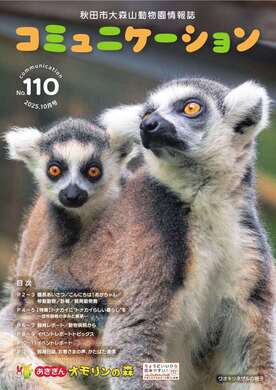 画像:コミュニケーション110号表紙(ワオキツネザルの親子)