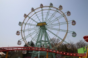 画像：観覧車