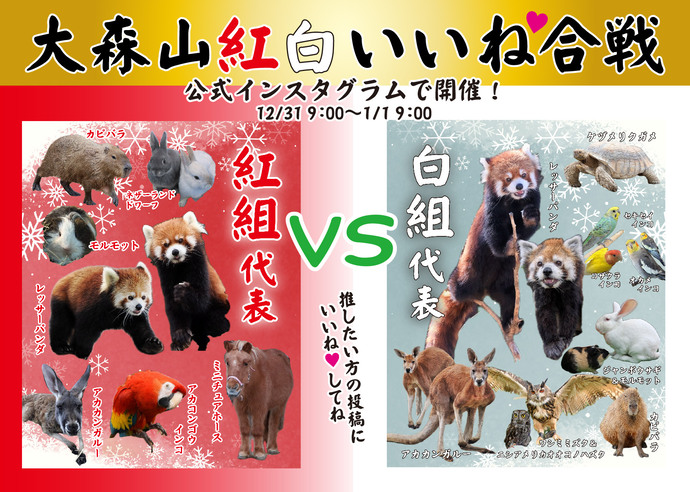 画像:いいね合戦