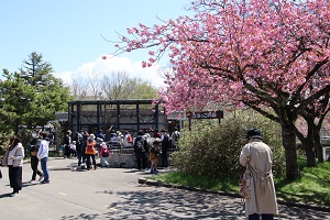 写真：園内の様子