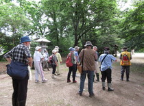 自然観察会の写真